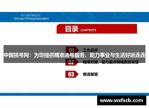 中国挑号网：为您提供精准选号服务，助力事业与生活好运连连