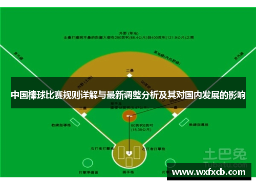 中国棒球比赛规则详解与最新调整分析及其对国内发展的影响