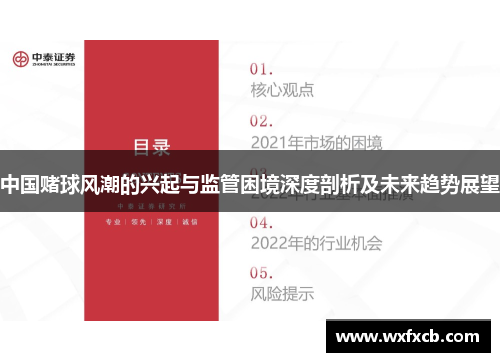 中国赌球风潮的兴起与监管困境深度剖析及未来趋势展望