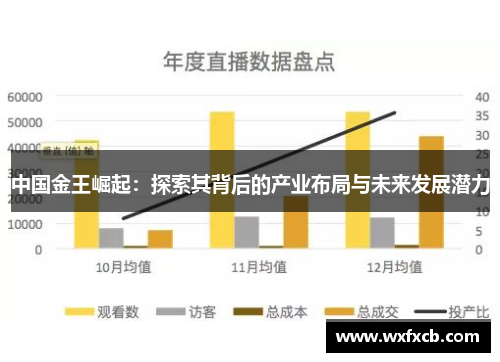中国金王崛起：探索其背后的产业布局与未来发展潜力