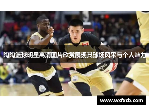 陶陶篮球明星高清图片欣赏展现其球场风采与个人魅力